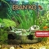 Ебанько Ебанько
