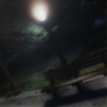 OsamaSon, Xaviersobased OsamaSon, Xaviersobased