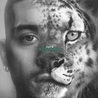 Zayn Zayn