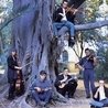Penguin Cafe Orchestra Penguin Cafe Orchestra