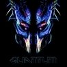 Quantum Quantum