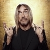 Iggy Pop Iggy Pop