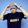 DJ Shadow, Mos Def DJ Shadow, Mos Def