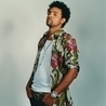Shaggy, Robin Thicke, Zeddy Will Shaggy, Robin Thicke, Zeddy Will
