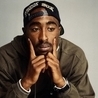 2Pac, Xzibit, Snoop Dogg, Nate 2Pac, Xzibit, Snoop Dogg, Nate