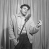 Del Shannon Del Shannon