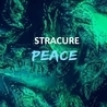 STRACURE, Punkshow STRACURE, Punkshow