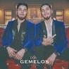 Los Gemelos De Sinaloa Los Gemelos De Sinaloa