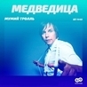 Медведица Медведица