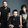 Muse Muse