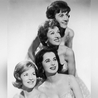 The Chordettes The Chordettes