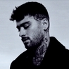 Zayn Zayn