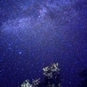 stvrshine stvrshine